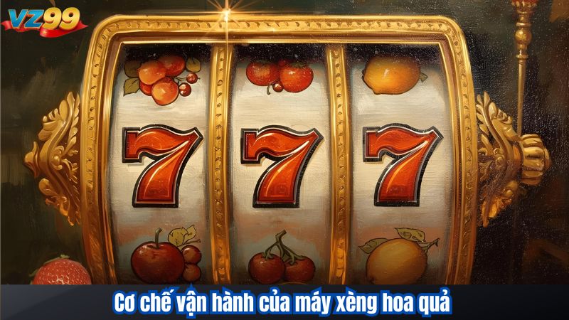 Cơ chế vận hành của máy xèng hoa quả
